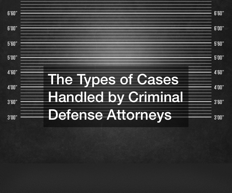 The Types of Cases Handled by Criminal Defense Attorneys