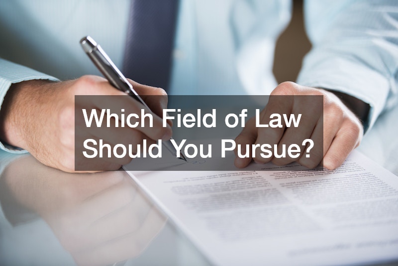 Which Field of Law Should You Pursue?